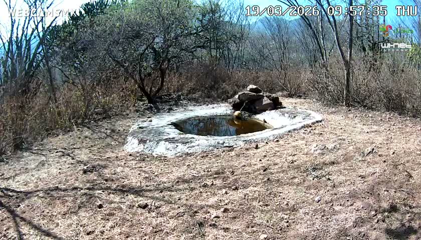 Rancho La Onza Waterhole Animals Live Live Cam - San Luiz de la Paz, Guanajuato, Mexico
