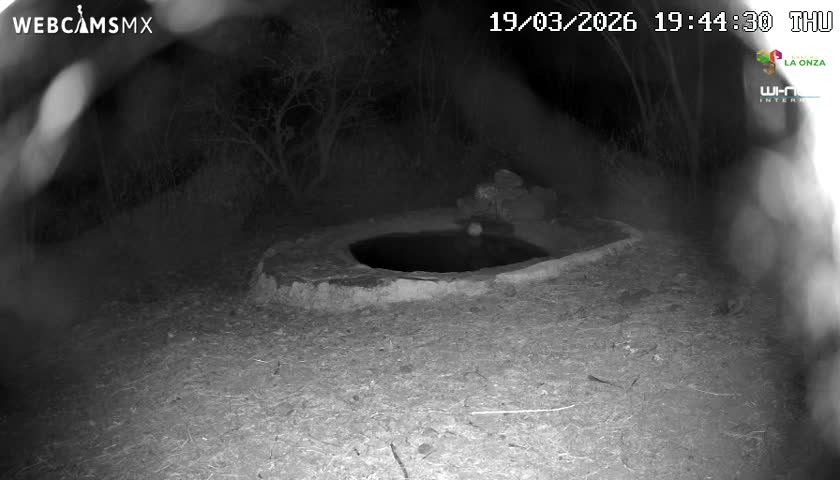 Rancho La Onza Waterhole Animals Live Live Cam - San Luiz de la Paz, Guanajuato, Mexico