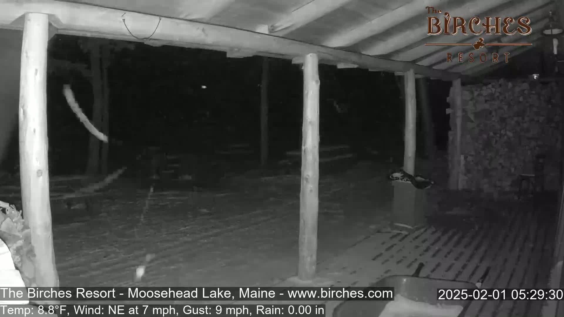 A nighttime, snowy scene shows a covered porch area with wooden posts and a partially visible pile of firewood in the background, under conditions of a northeast wind, light snow, and a temperature of 8.8°F.