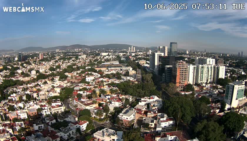 A sprawling city with numerous buildings of varying heights under a clear, sunny sky.