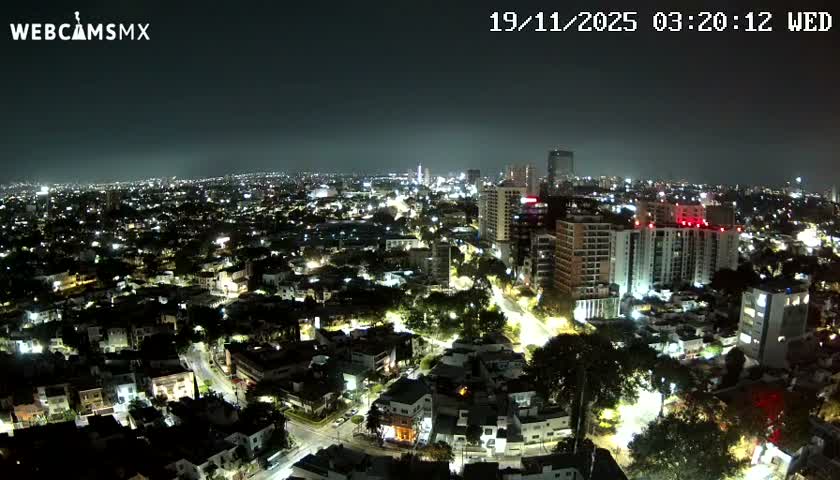 An expansive city glows with countless artificial lights at night under a clear sky, revealing a mix of residential and taller commercial buildings, streets, and illuminated trees.