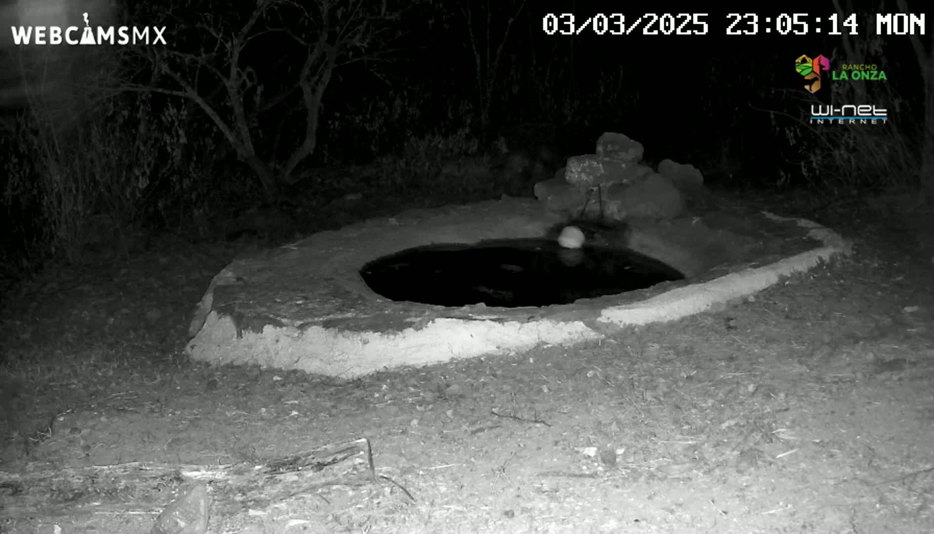 A small, dark pool of water sits within a low, earthen structure at night, under a clear, dark sky.