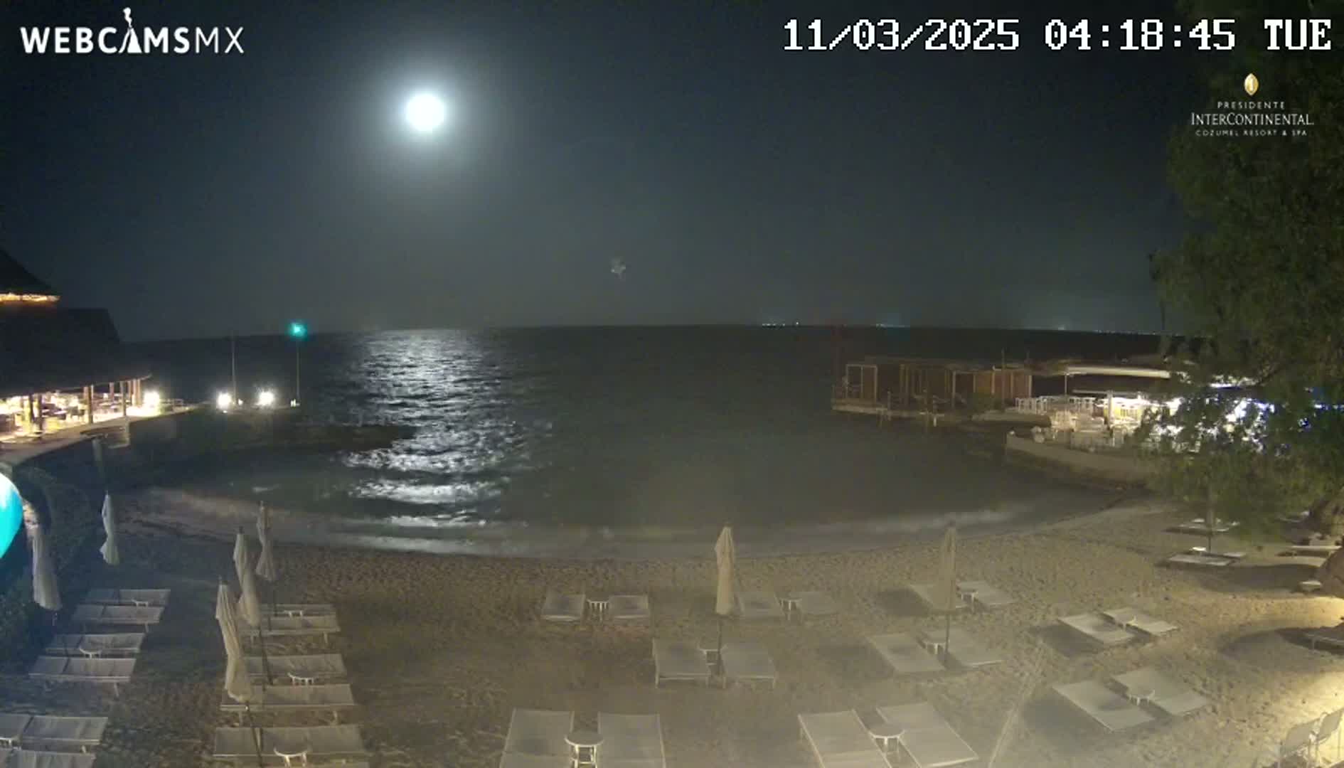 A moonlit beach at night shows calm ocean waves lapping a sandy shore lined with lounge chairs and umbrellas, near buildings and vegetation.