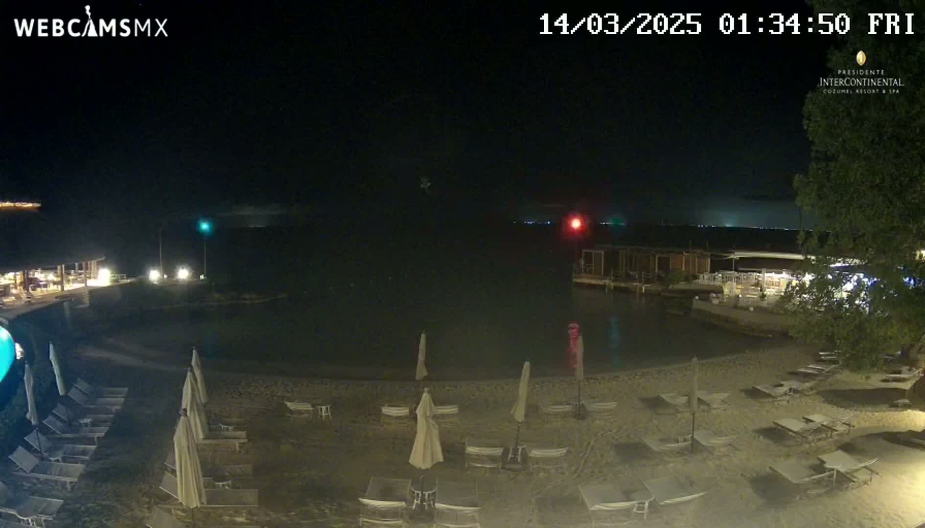 A nighttime view of a beach with lounge chairs and umbrellas under a clear, dark sky, overlooking a calm body of water.