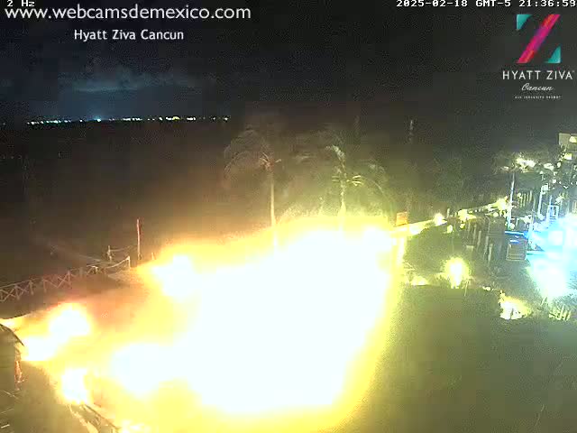 A large, bright yellow-orange fire dominates the foreground of a nighttime scene near a body of water, with palm trees and illuminated buildings visible in the background.