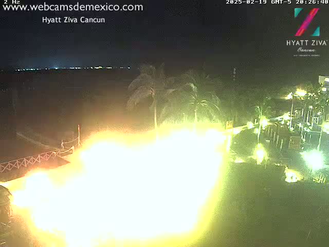 A nighttime scene of a bright, diffuse light source near palm trees and buildings.