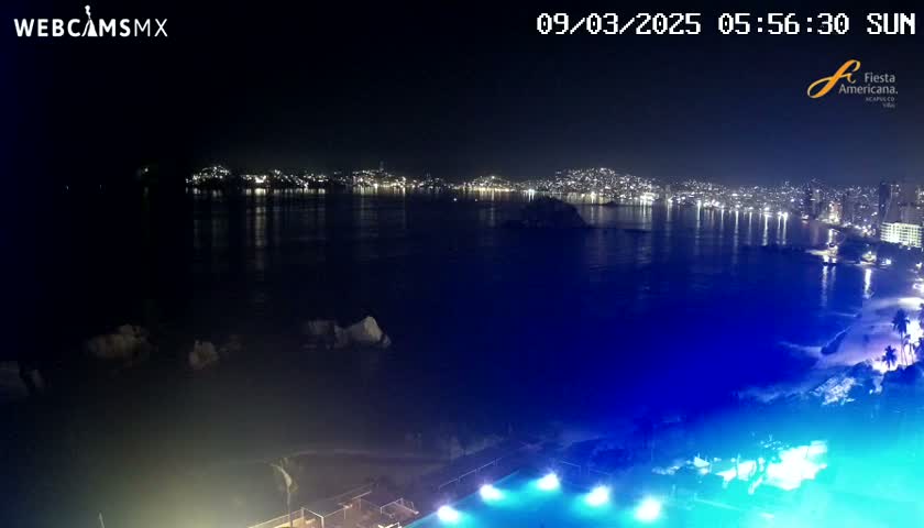 A nighttime view of a city across a calm bay, illuminated by city lights, with a pool and palm trees visible in the foreground.