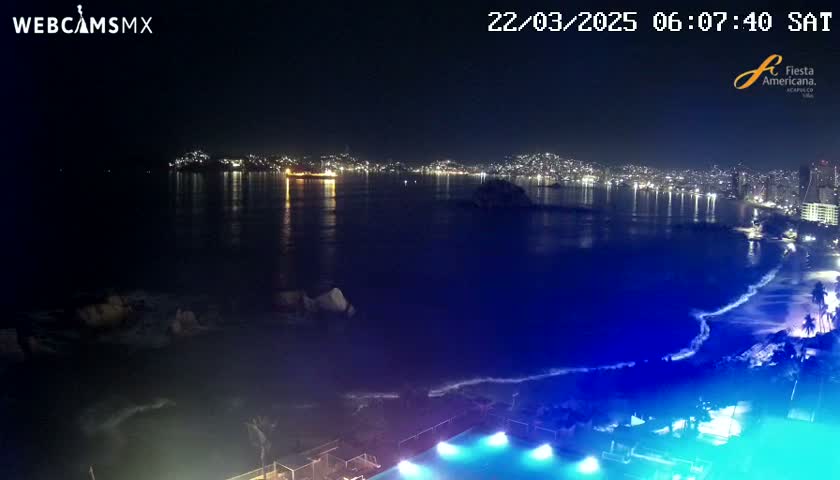 A nighttime coastal view shows a city skyline across a dark-blue ocean with waves lapping a beach, illuminated by lights from the city and an illuminated pool in the foreground.