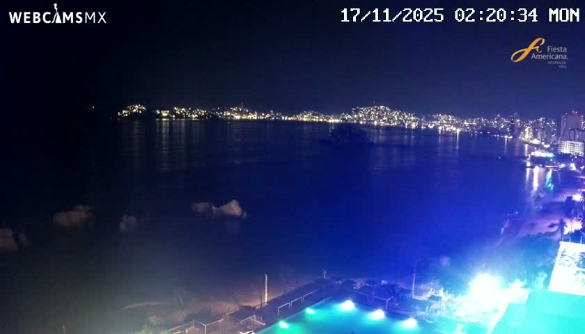 A clear night reveals a sprawling city skyline brightly illuminating a wide bay, with its lights reflecting on the dark water and a vibrantly lit resort pool visible in the foreground.