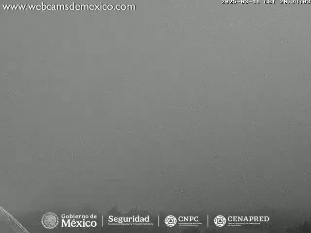 A gray, hazy outdoor scene is visible, with low visibility conditions.