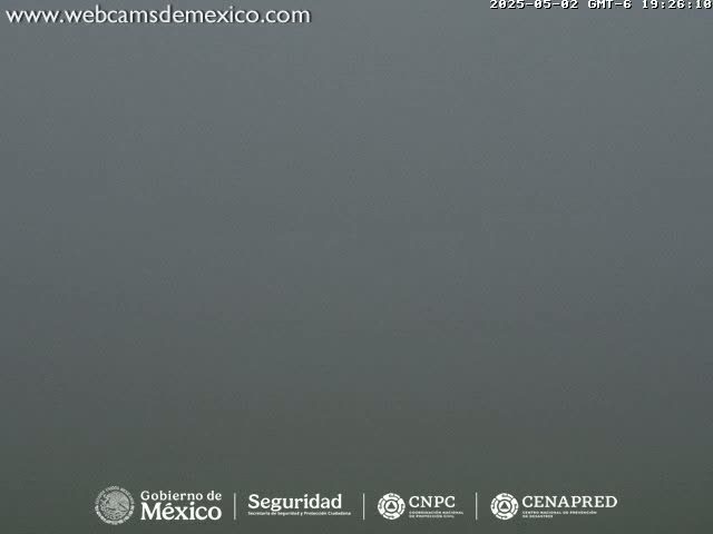 A solid, gray, hazy scene is visible outdoors.