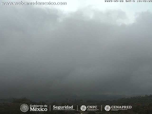 A low-lying, heavy fog obscures a landscape of low hills and vegetation.