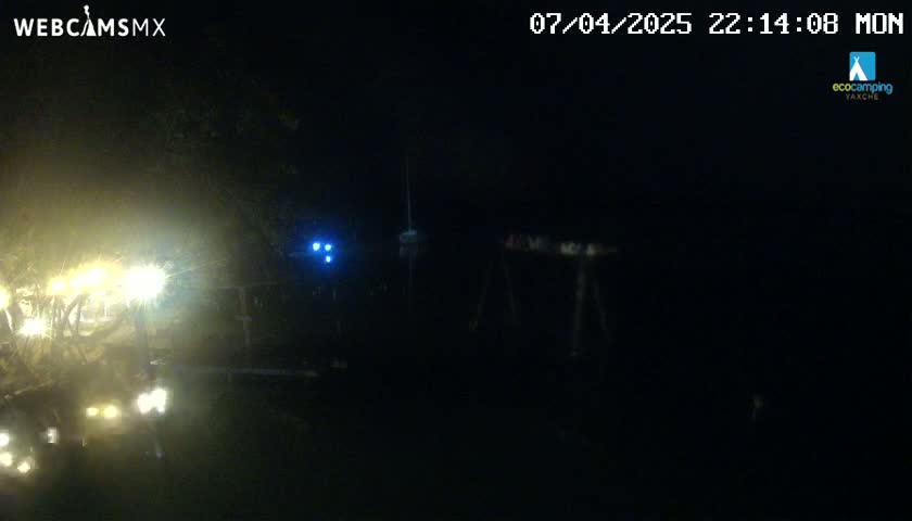 A nighttime, dark scene shows dimly lit vegetation and a vehicle's headlights in the foreground, with faintly visible structures and a body of water in the background.