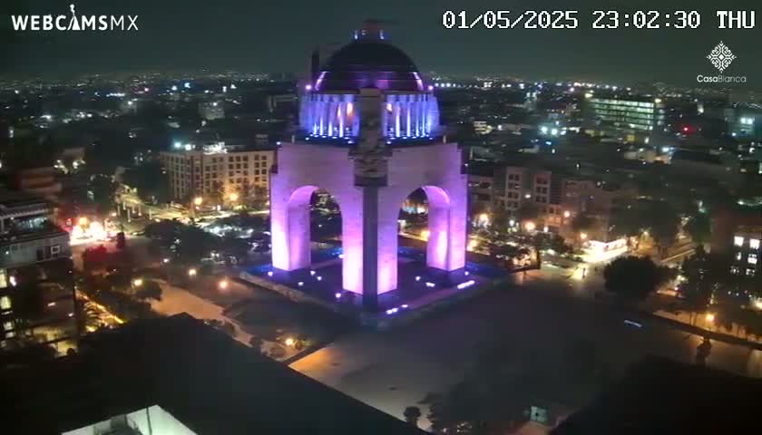 A large monument, illuminated in purple, stands in the center of a city at night.