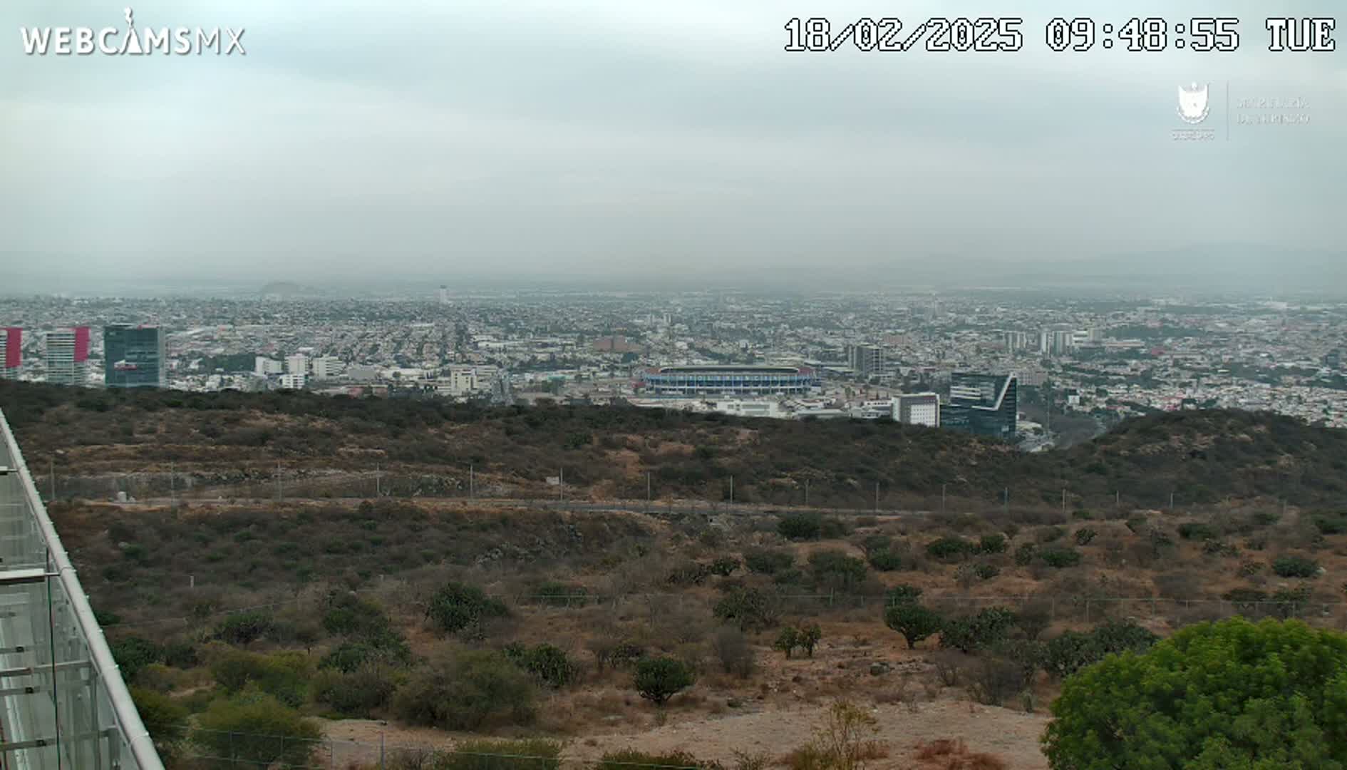 A hazy view of a sprawling city from a hilltop, showing dry, brown vegetation in the foreground.