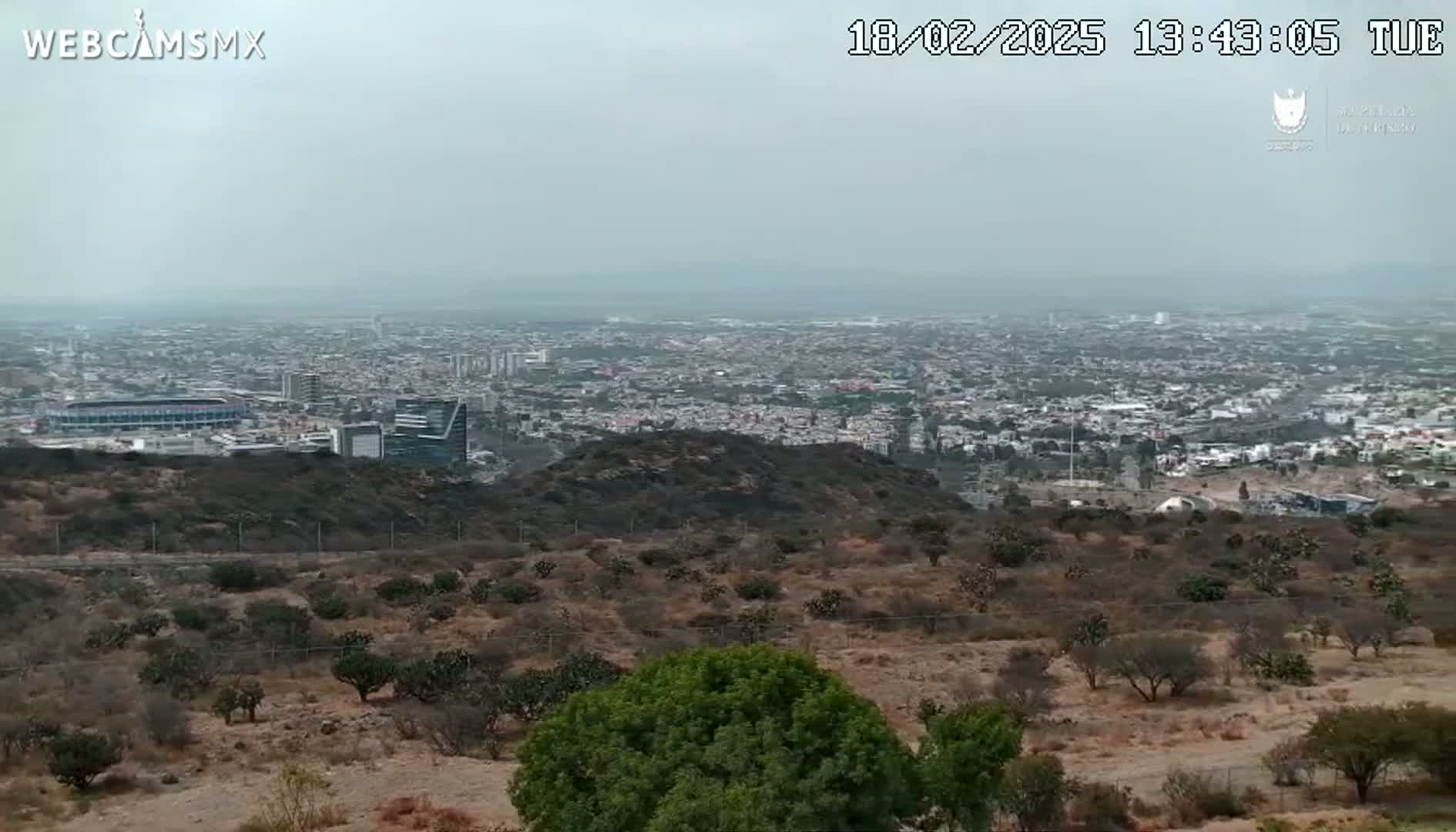 A hazy view from a hilltop shows a sprawling city with a stadium, and a mix of low-lying brush and small trees in the foreground.