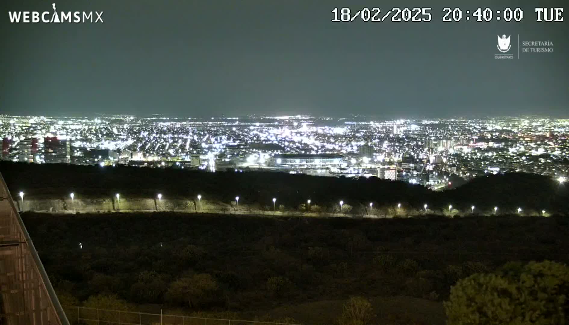 A nighttime view from a hilltop shows a sprawling city illuminated by countless lights under a clear, dark sky.