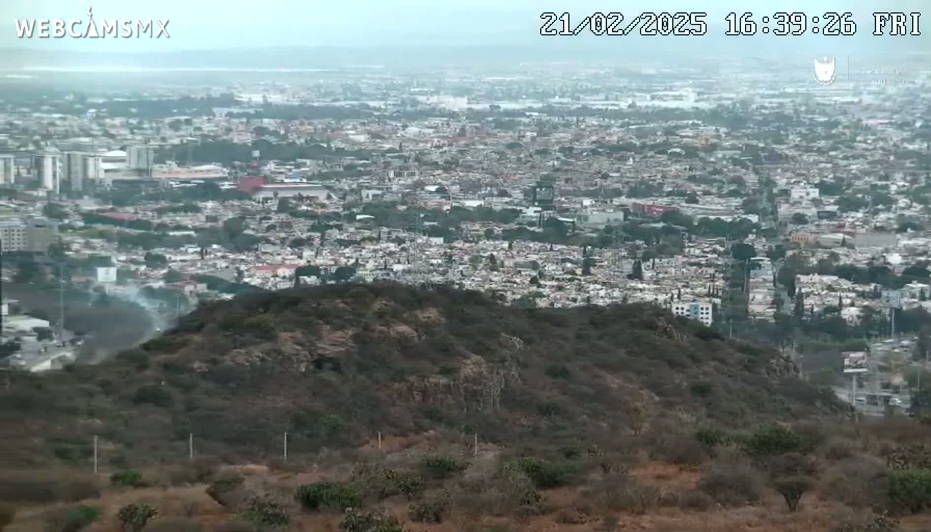 A hazy view from a hilltop overlooking a sprawling city.