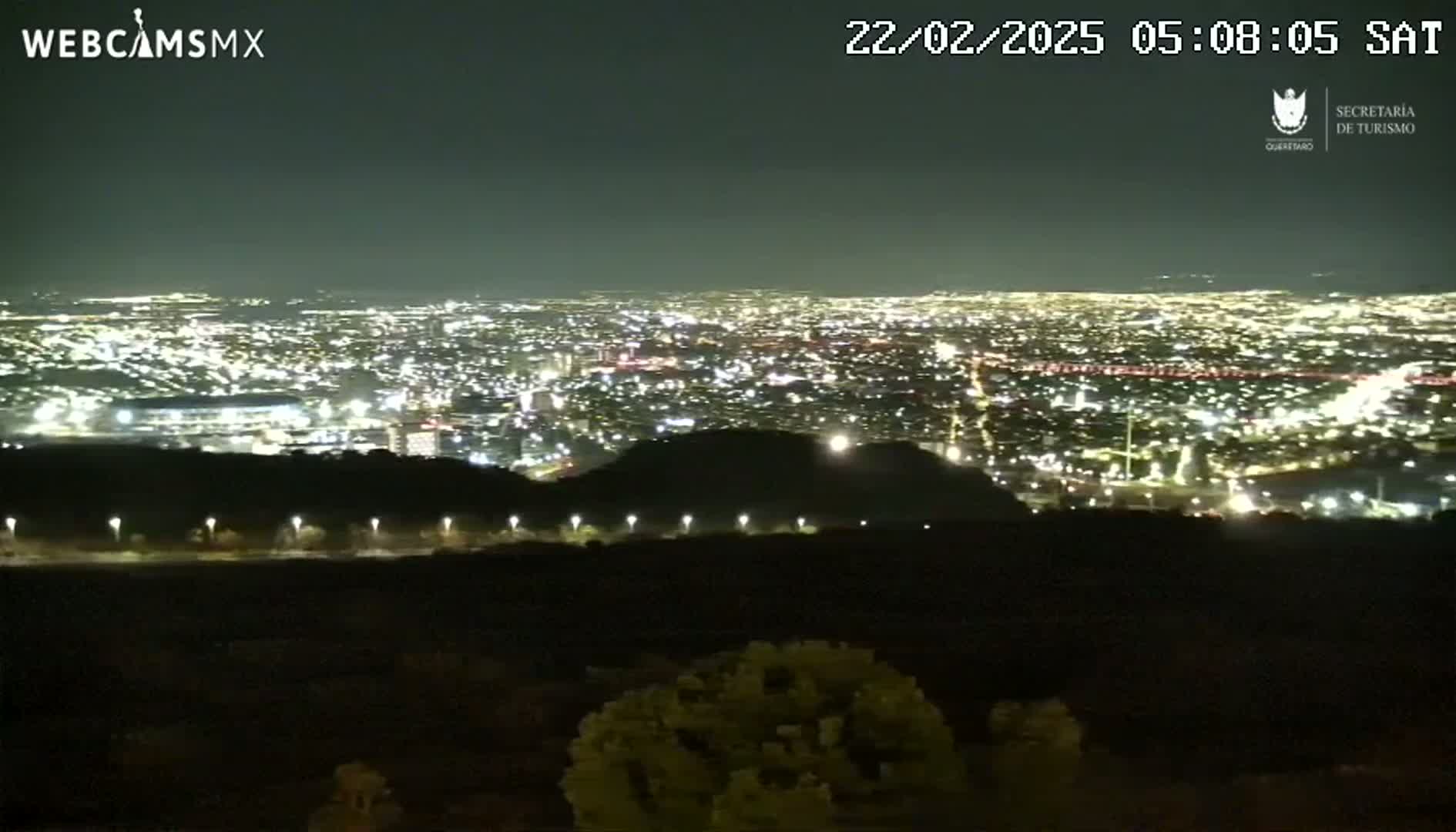 A nighttime view from a hilltop overlooking a sprawling city illuminated by countless lights under a clear, dark sky.