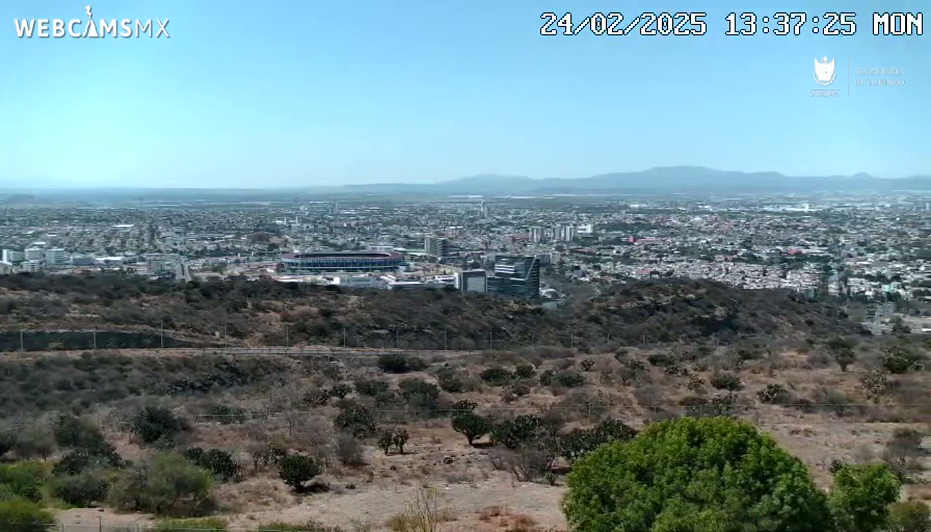 A sprawling city stretches out beneath a clear blue sky, viewed from a hilltop covered in dry, scrubby vegetation.