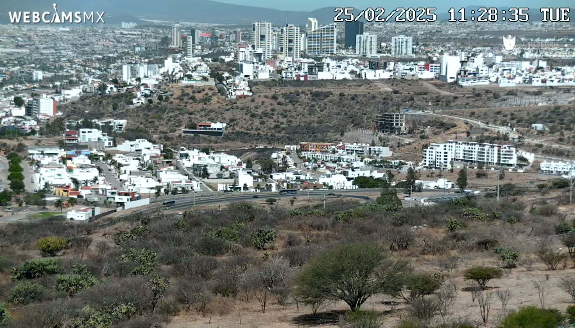A sprawling city with numerous buildings, including high-rises, is seen from a high vantage point on a sunny day, with scrubby, dry vegetation in the foreground.