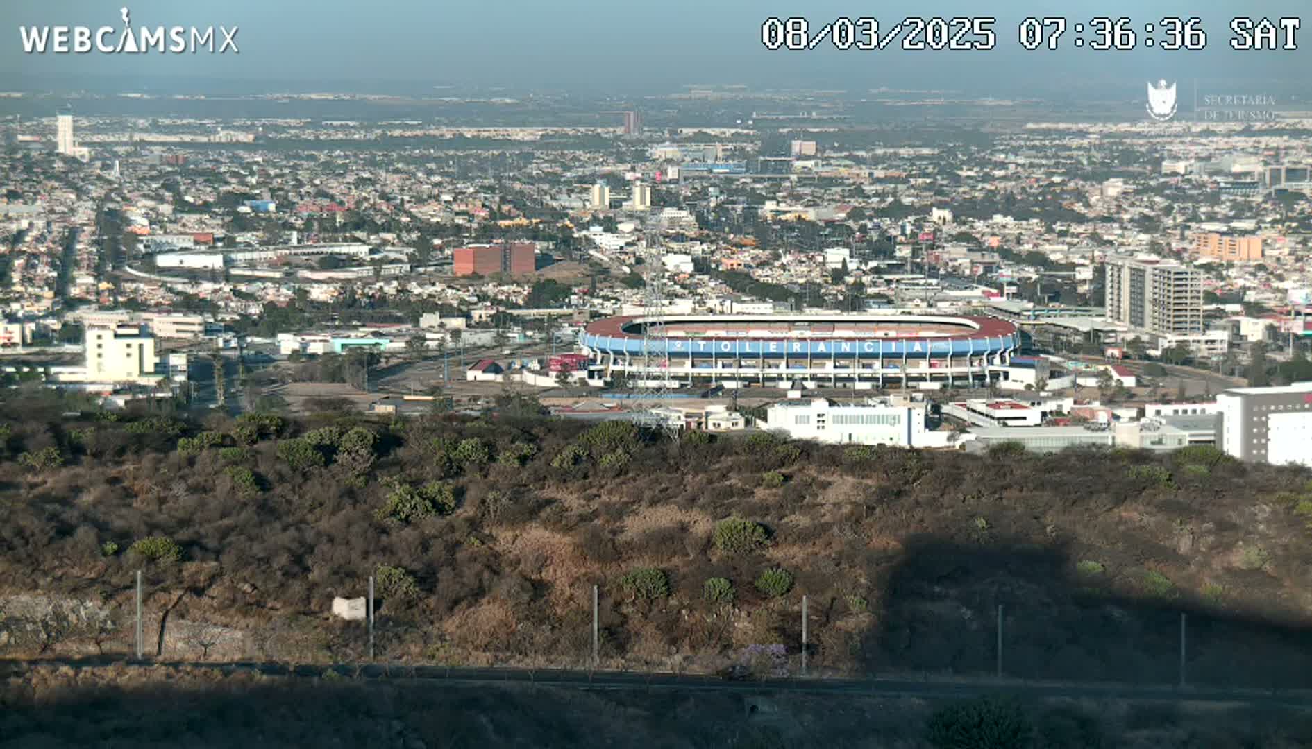 A sprawling city, under a clear sky, is viewed from above, showcasing a stadium nestled amongst the buildings and a hill covered in low-lying brush in the foreground.
