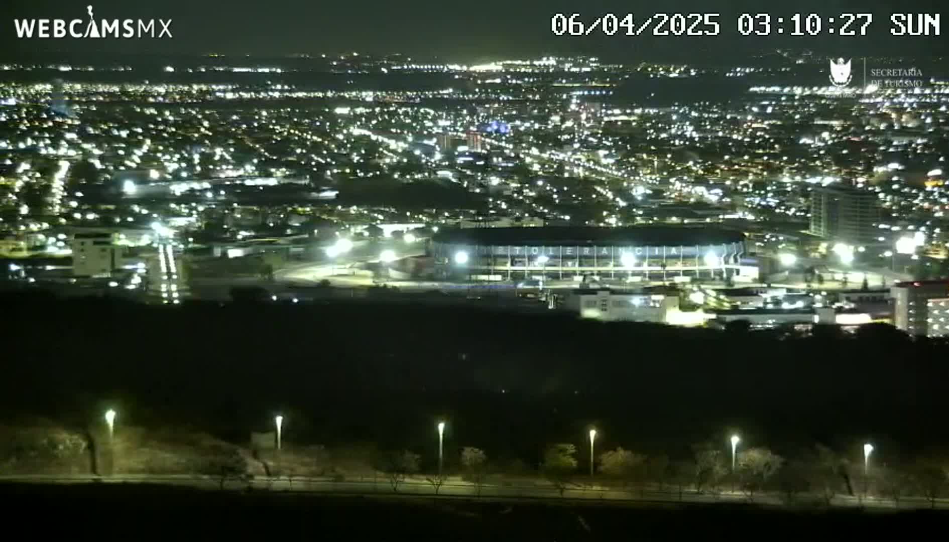 A nighttime, high-angle view of a city illuminated by streetlights, featuring a large stadium and surrounding areas, with dark trees in the foreground.