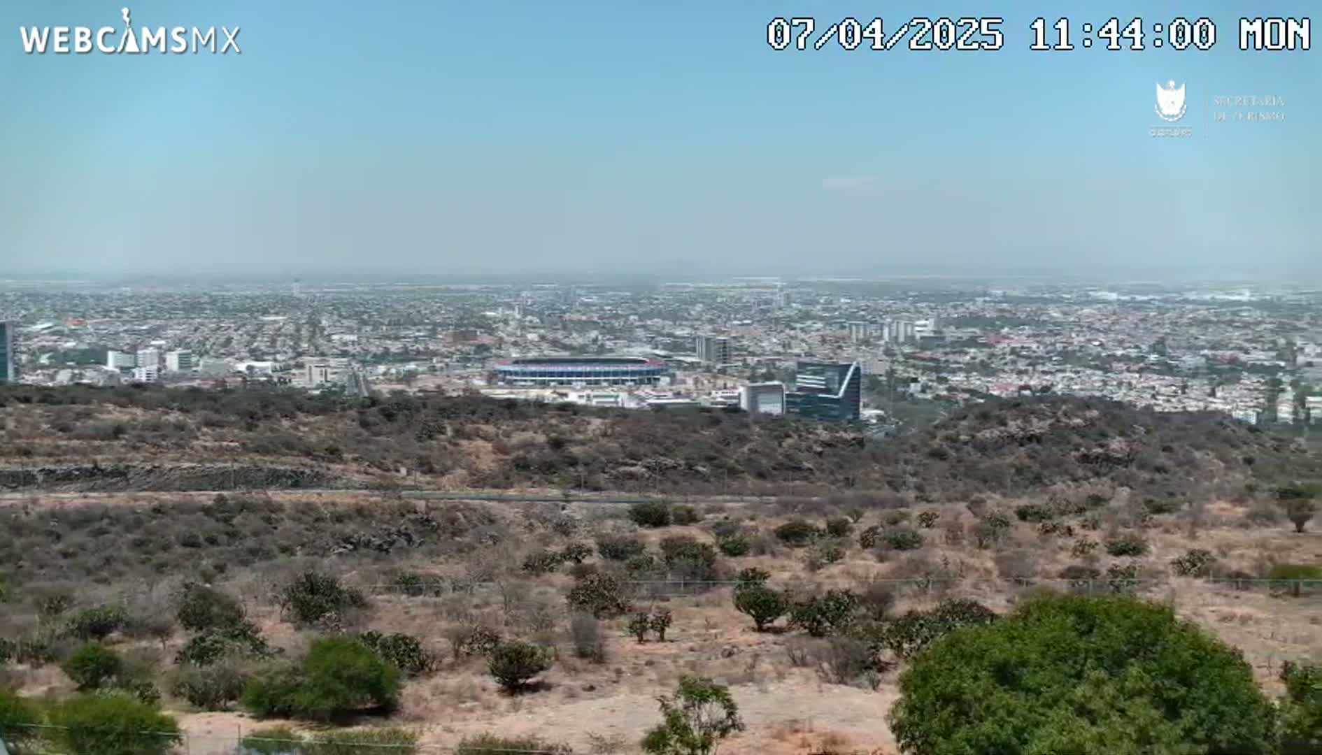 A sprawling city is visible under a clear, sunny sky, viewed from a hilltop covered in scrubby vegetation.