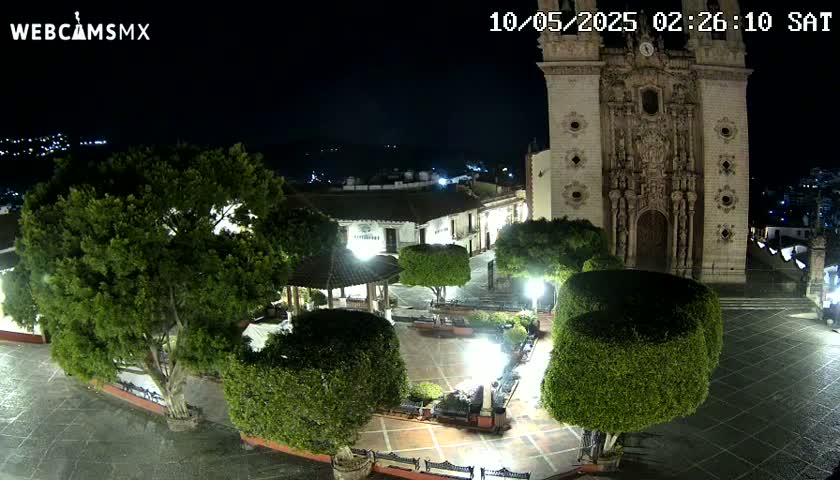A nighttime view of a town square with a large church, surrounded by lush green shrubs and trees under a clear sky.