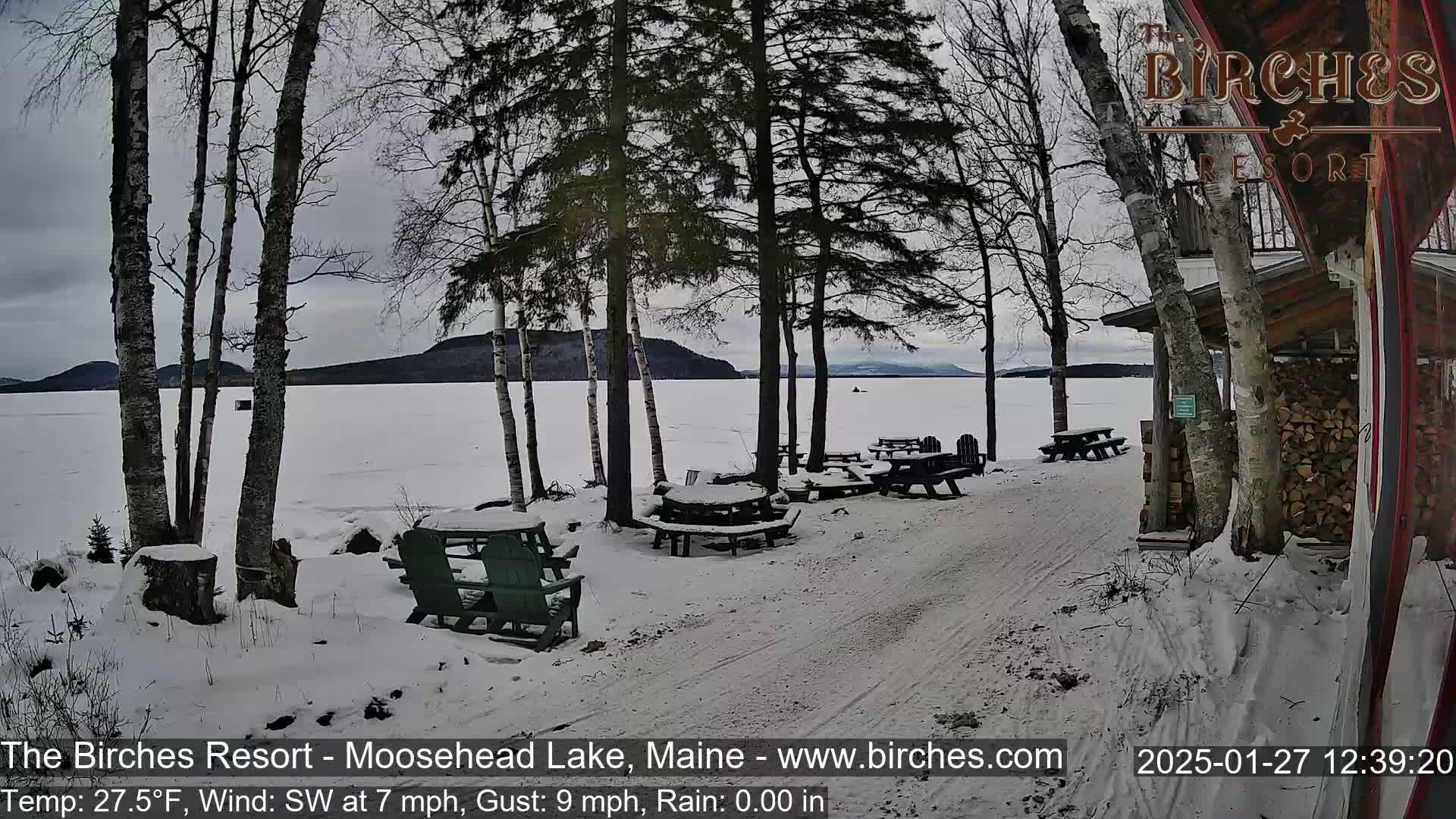 A snowy lakeside scene with picnic tables and chairs, several birch trees, and a partially visible building under an overcast sky.