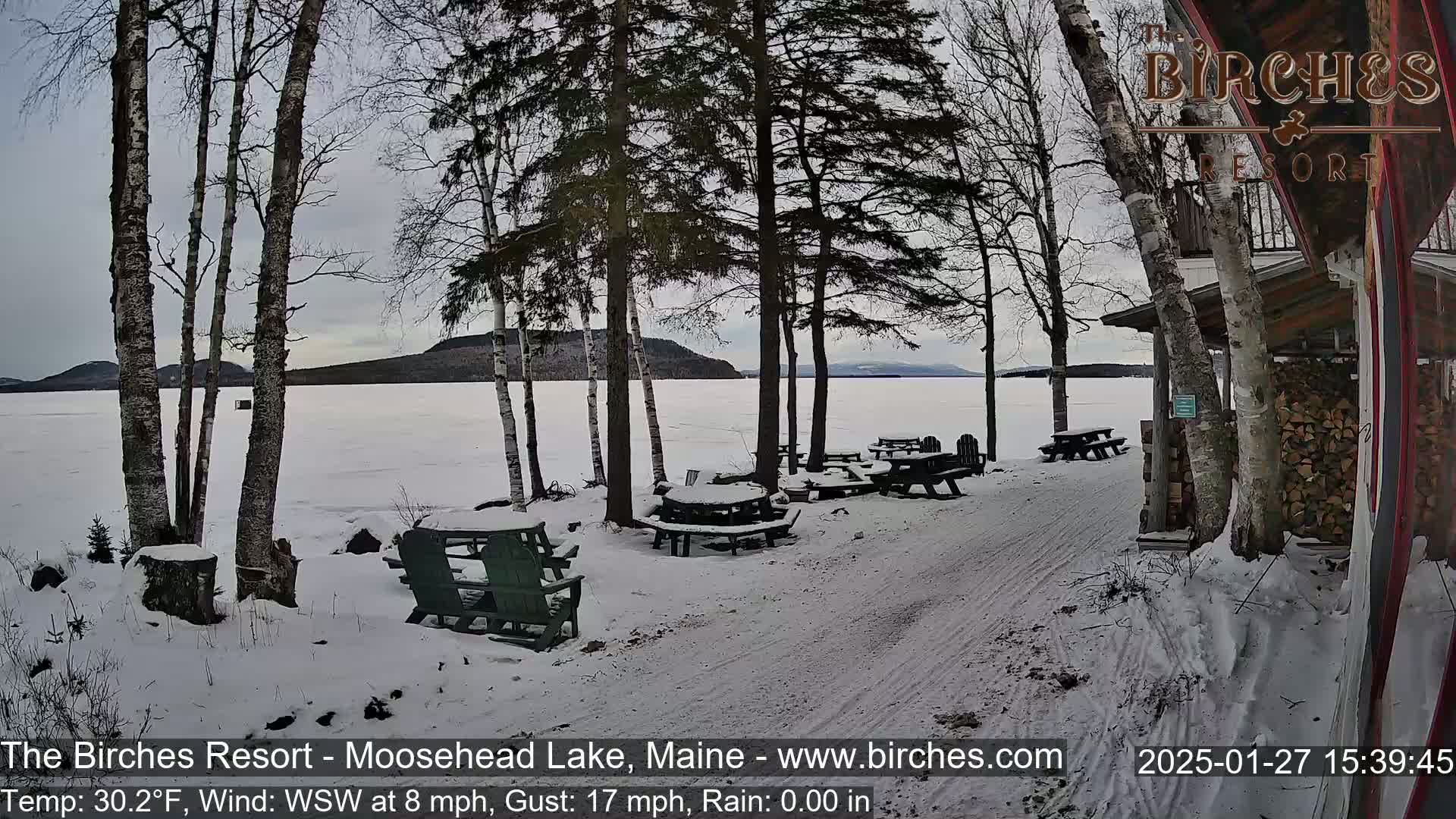 A snow-covered lakeside area with picnic tables and Adirondack chairs, under a cloudy sky, features several birch trees and a frozen lake in the background.