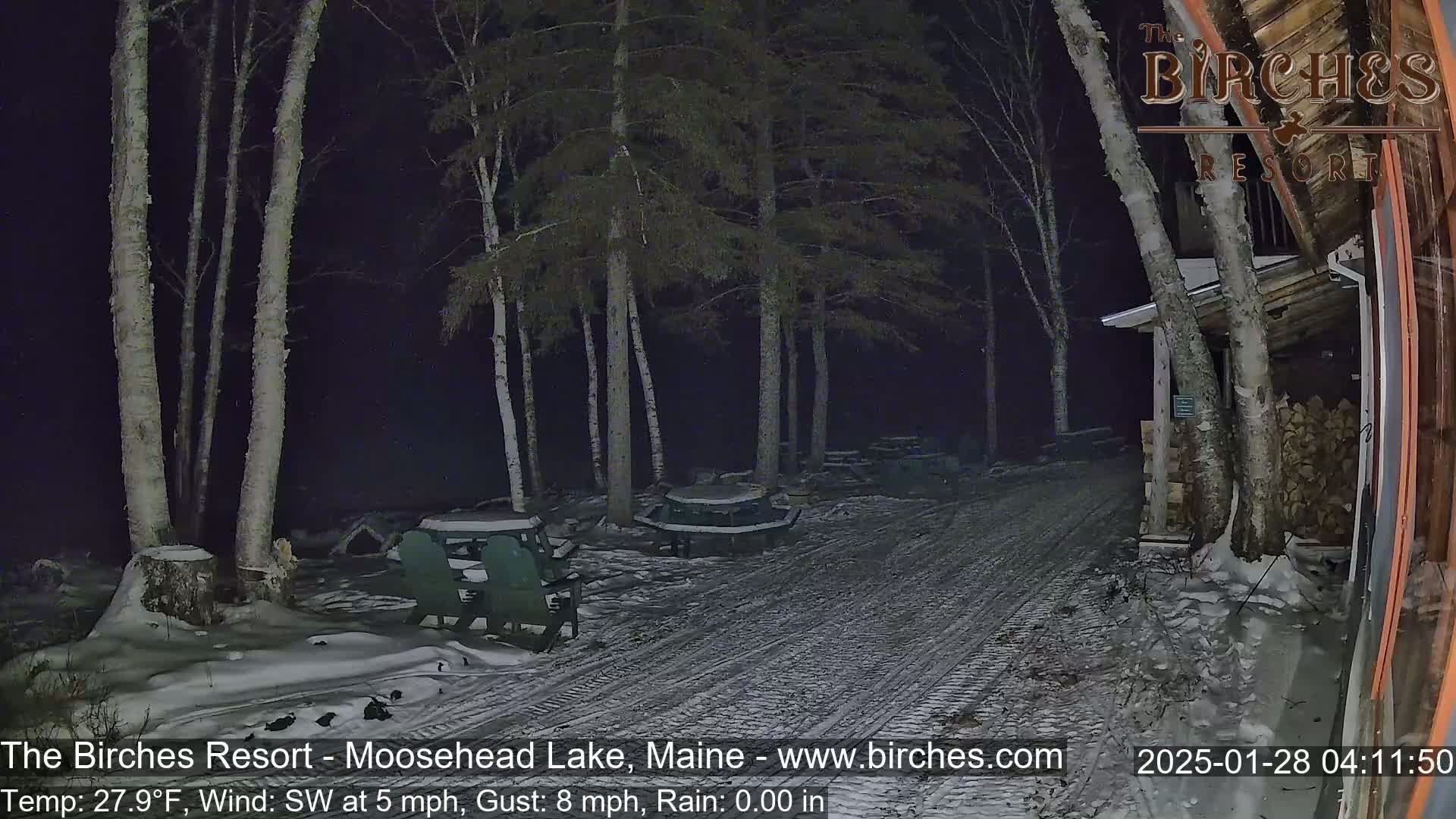 A snow-covered pathway at night leads to a building, flanked by birch trees and outdoor seating.