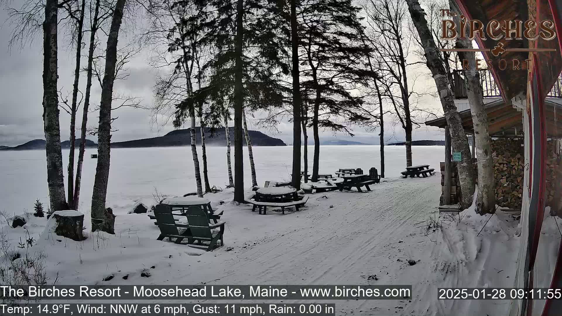 A snow-covered lakeside area with picnic tables and benches, under a cloudy sky, features bare trees and a frozen lake in the background.