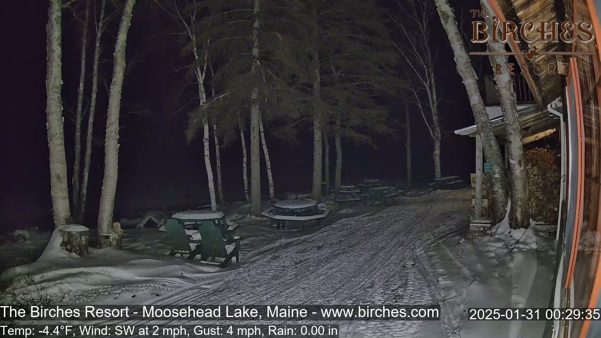 A snow-covered path leads to several picnic tables situated amongst birch trees under a dark night sky.