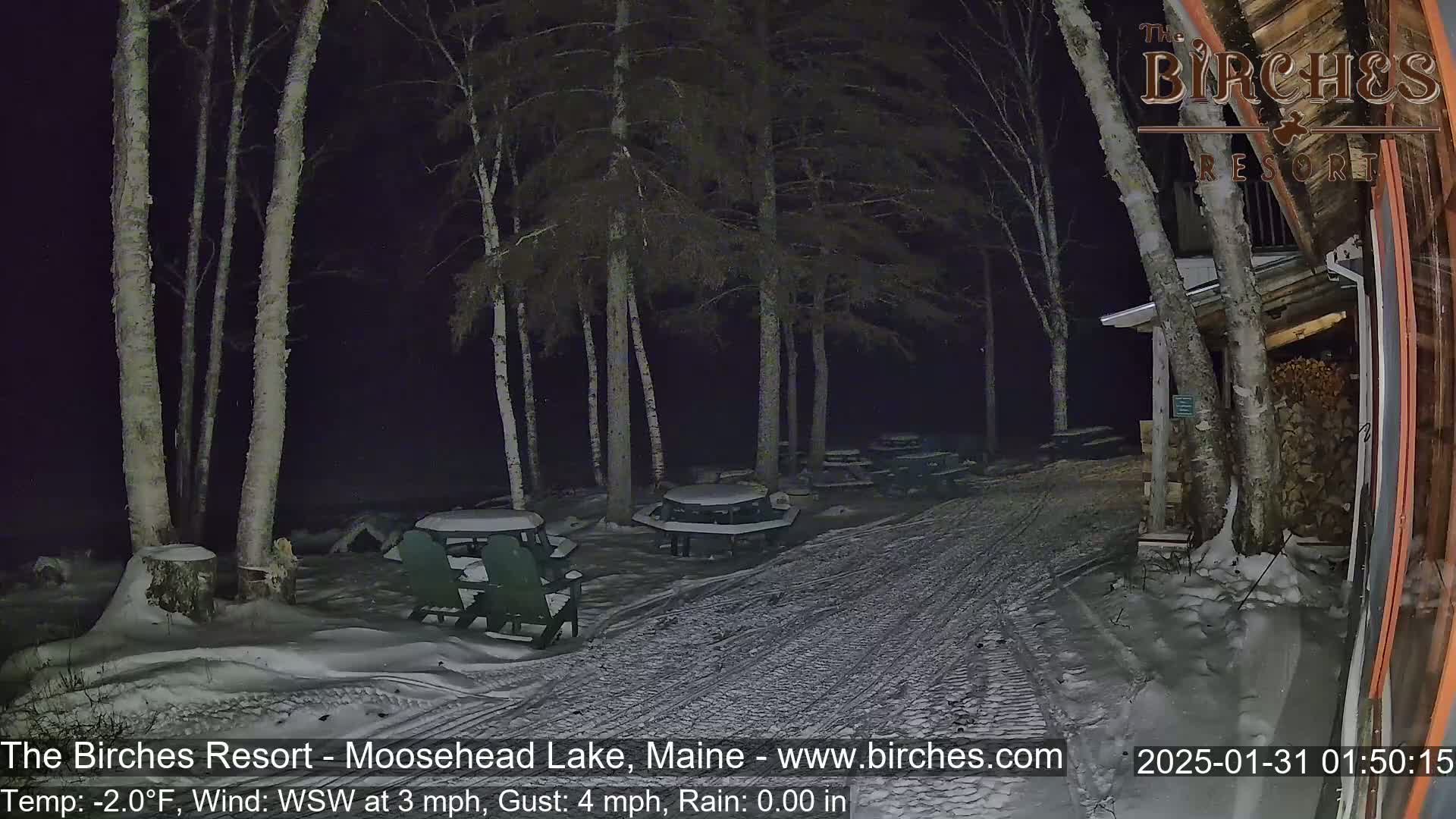 A snow-covered path leads to several picnic tables under birch trees at night.