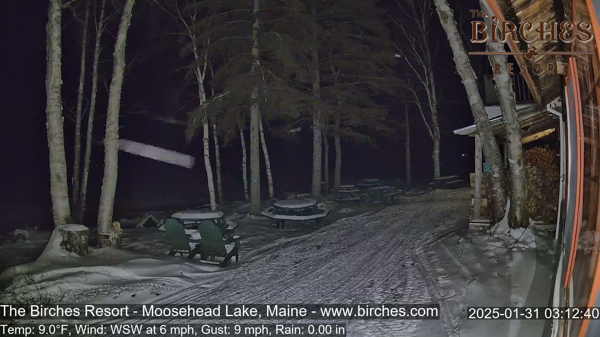 A snow-covered outdoor area at night, with picnic tables and chairs under birch trees, next to a building under a dark, clear sky.