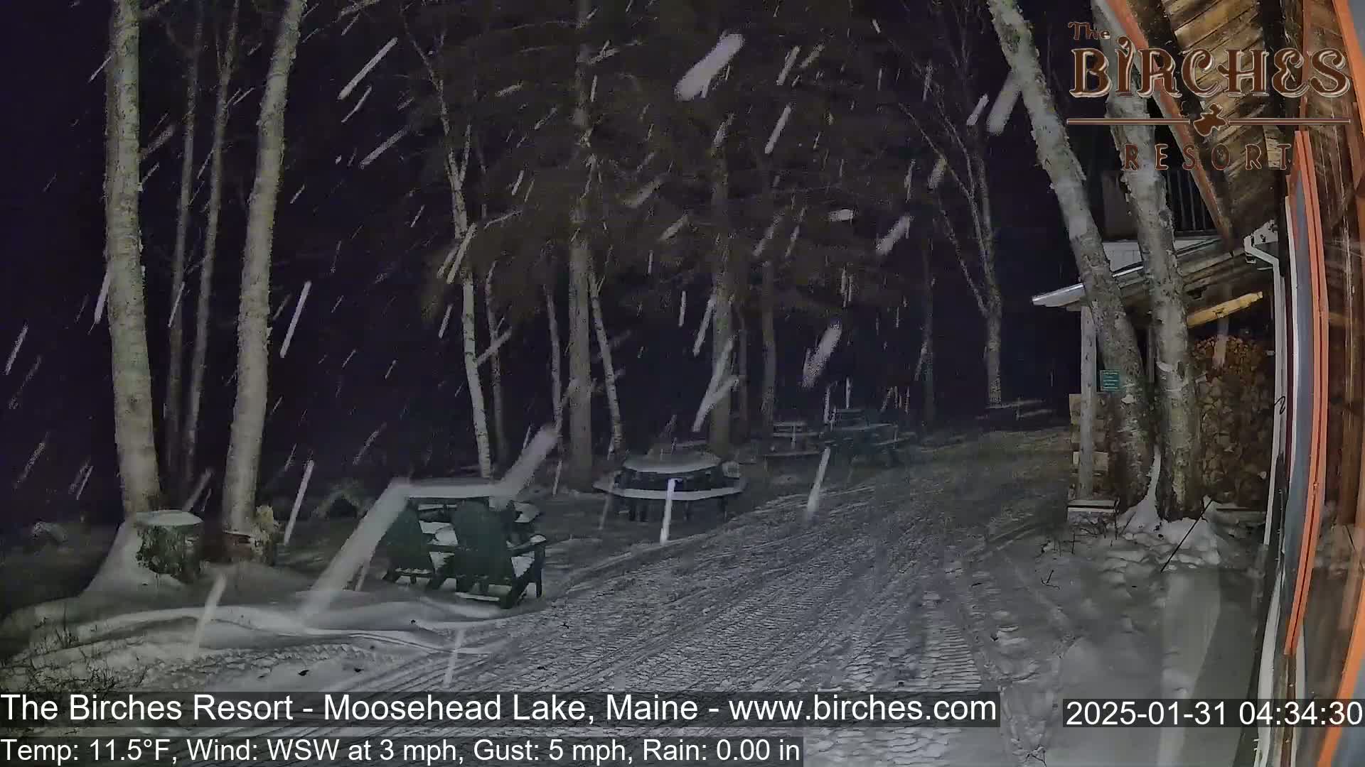 Snow falls at night on a snow-covered path between snow-covered picnic tables and trees near a building.