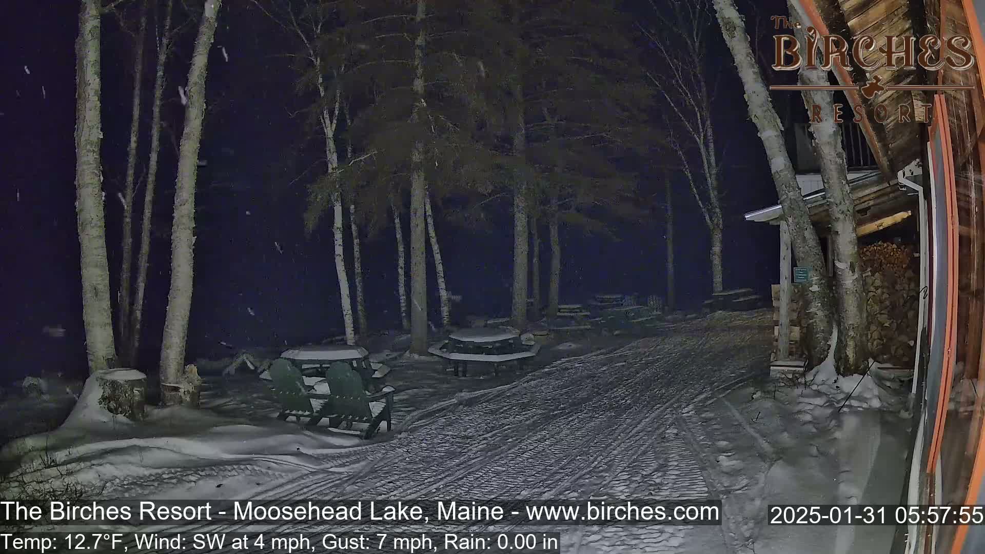 Snow falls at night on a snow-covered path between snow-covered picnic tables and birch trees near a building.