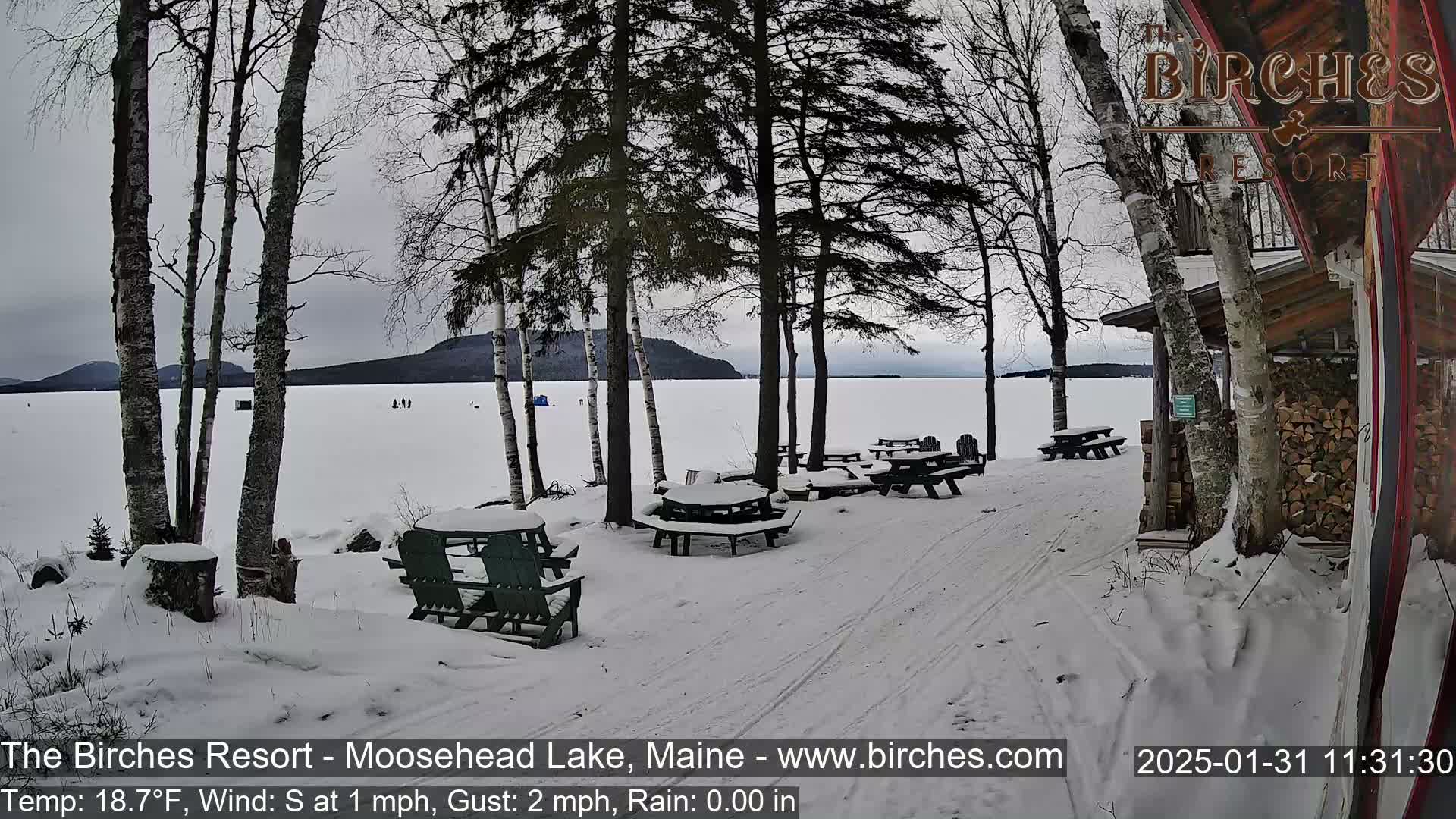 Snow-covered picnic tables sit near a snow-covered shoreline overlooking a frozen lake under a gray sky.