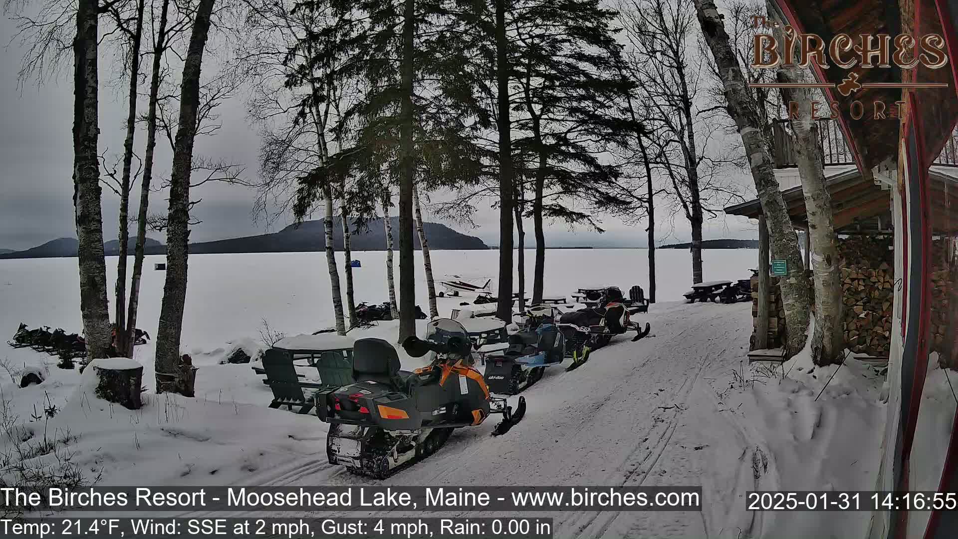 Several snowmobiles are parked near a snow-covered lakeshore, with a mostly cloudy sky and bare trees in the background.