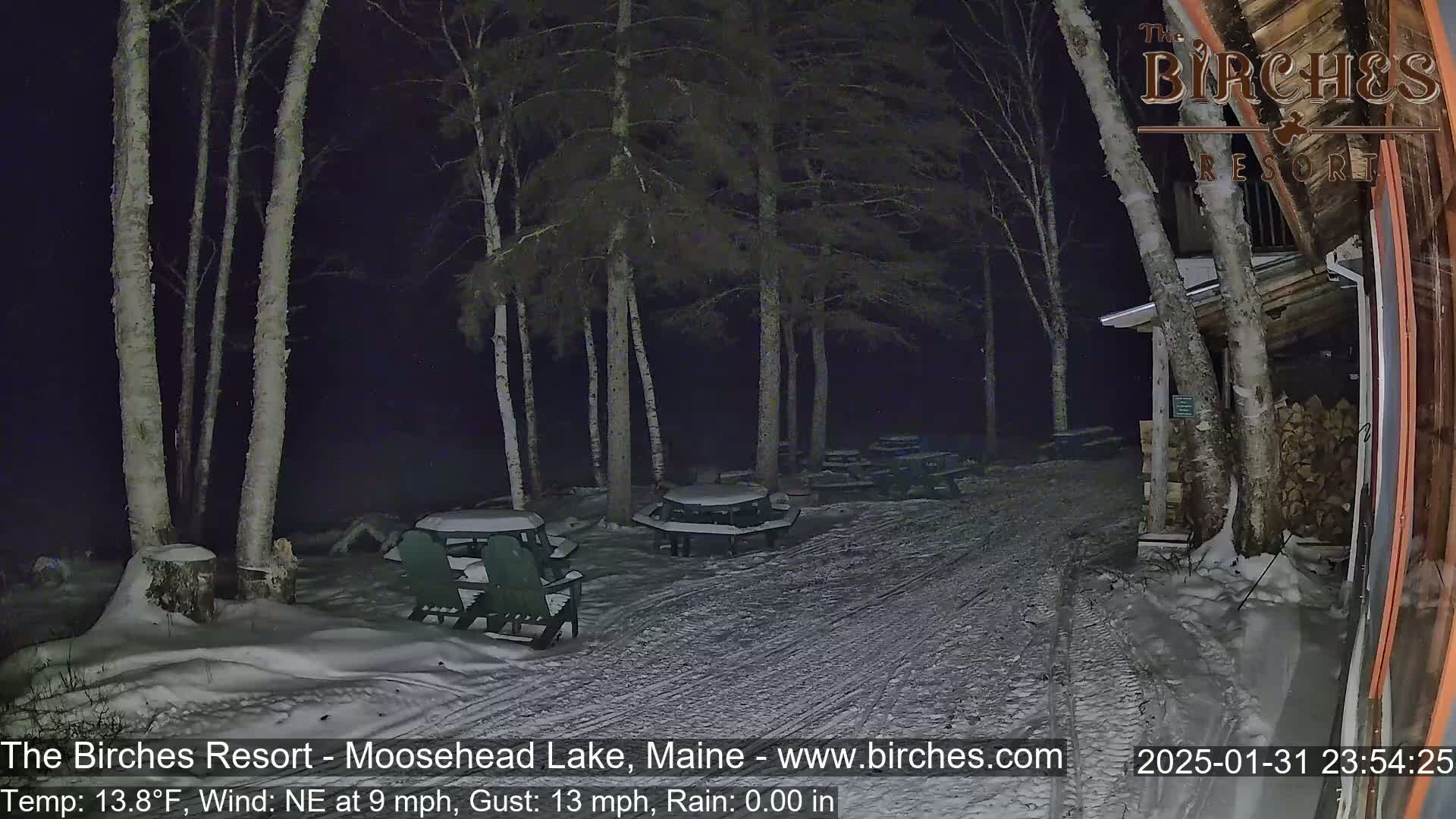 Snow-covered picnic tables and chairs sit beneath several birch trees at night in the snow, with a light wind.