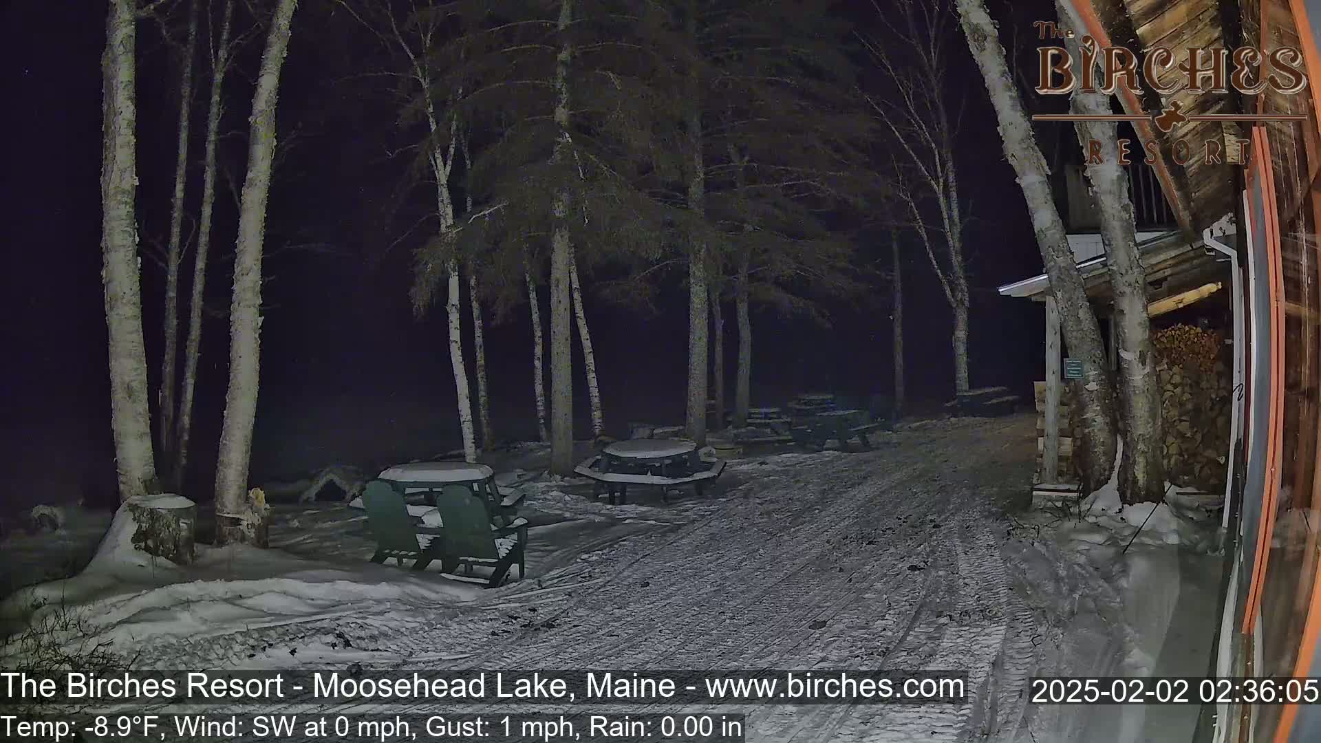 A snow-covered area at night with several picnic tables and chairs, surrounded by birch trees near a building.
