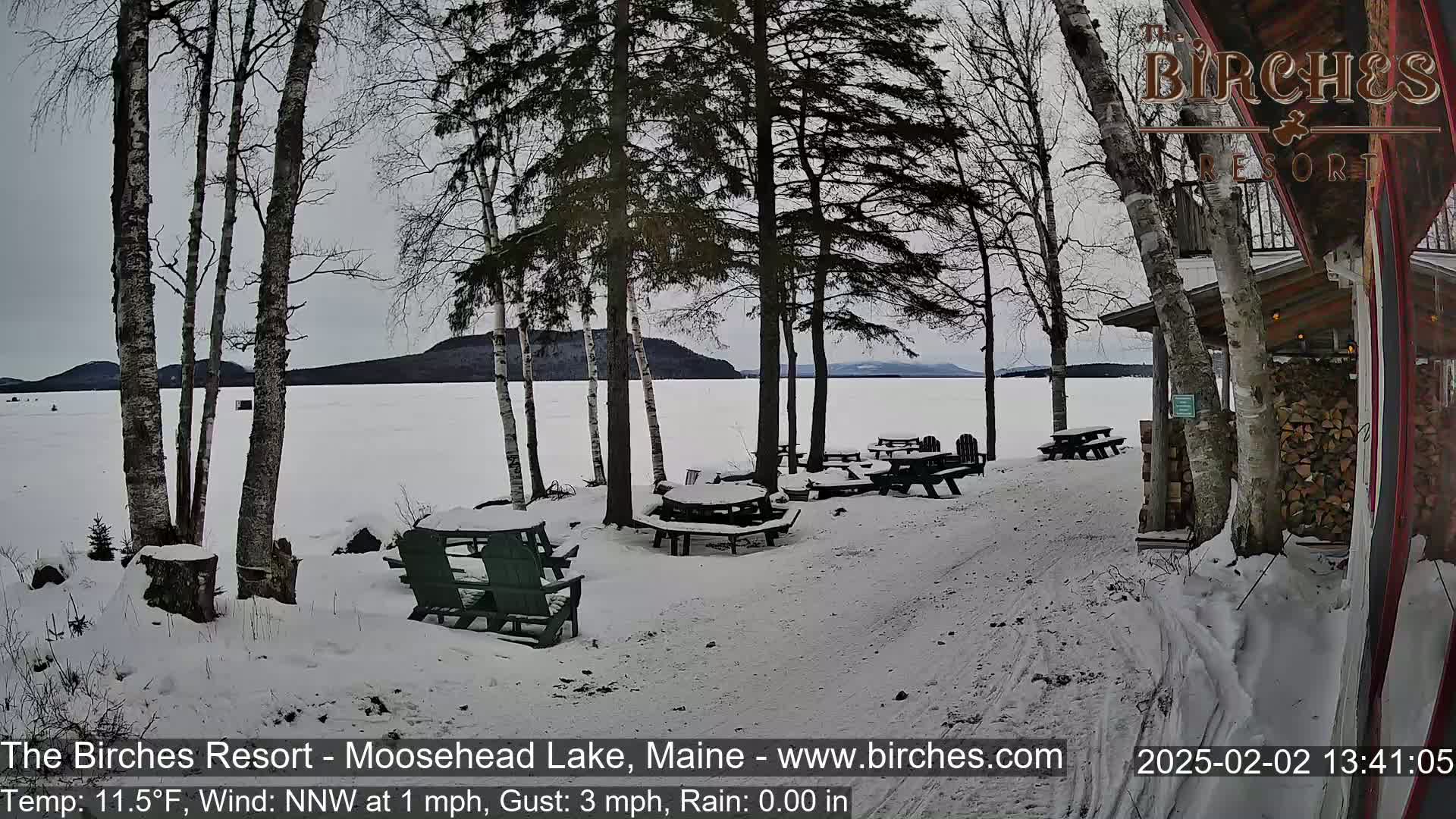 A snow-covered lakeside picnic area with several empty tables and benches sits near a building under a gray sky.