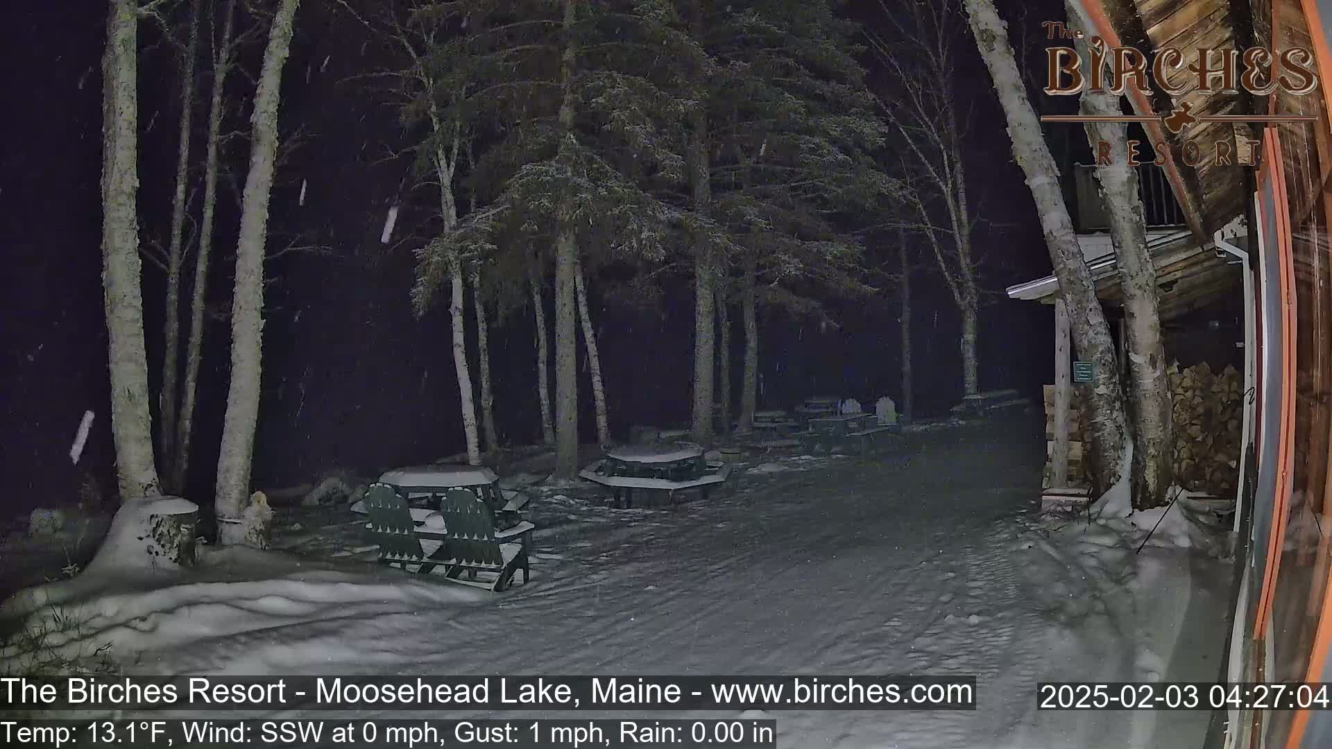 Snow falls at night on a snow-covered picnic area surrounded by birch trees near a building.