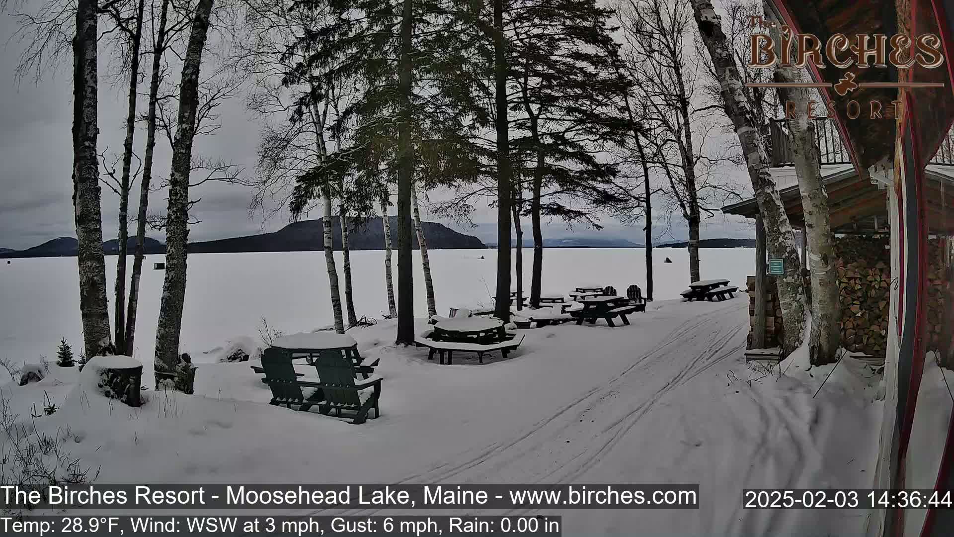 A snow-covered lakeside area with picnic tables and Adirondack chairs under bare trees, overlooking a frozen lake on a cloudy day.