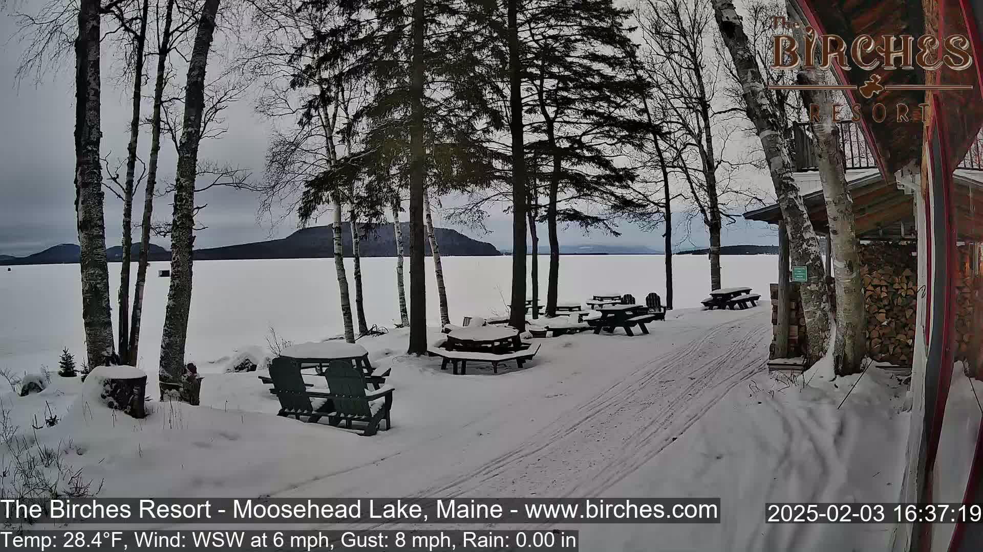 A snow-covered lakeside picnic area with several empty tables and chairs sits beneath bare trees on a cloudy day.
