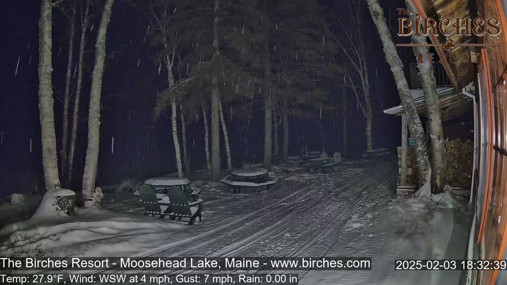 A snow-covered outdoor area with picnic tables and trees is lightly snowing at night.