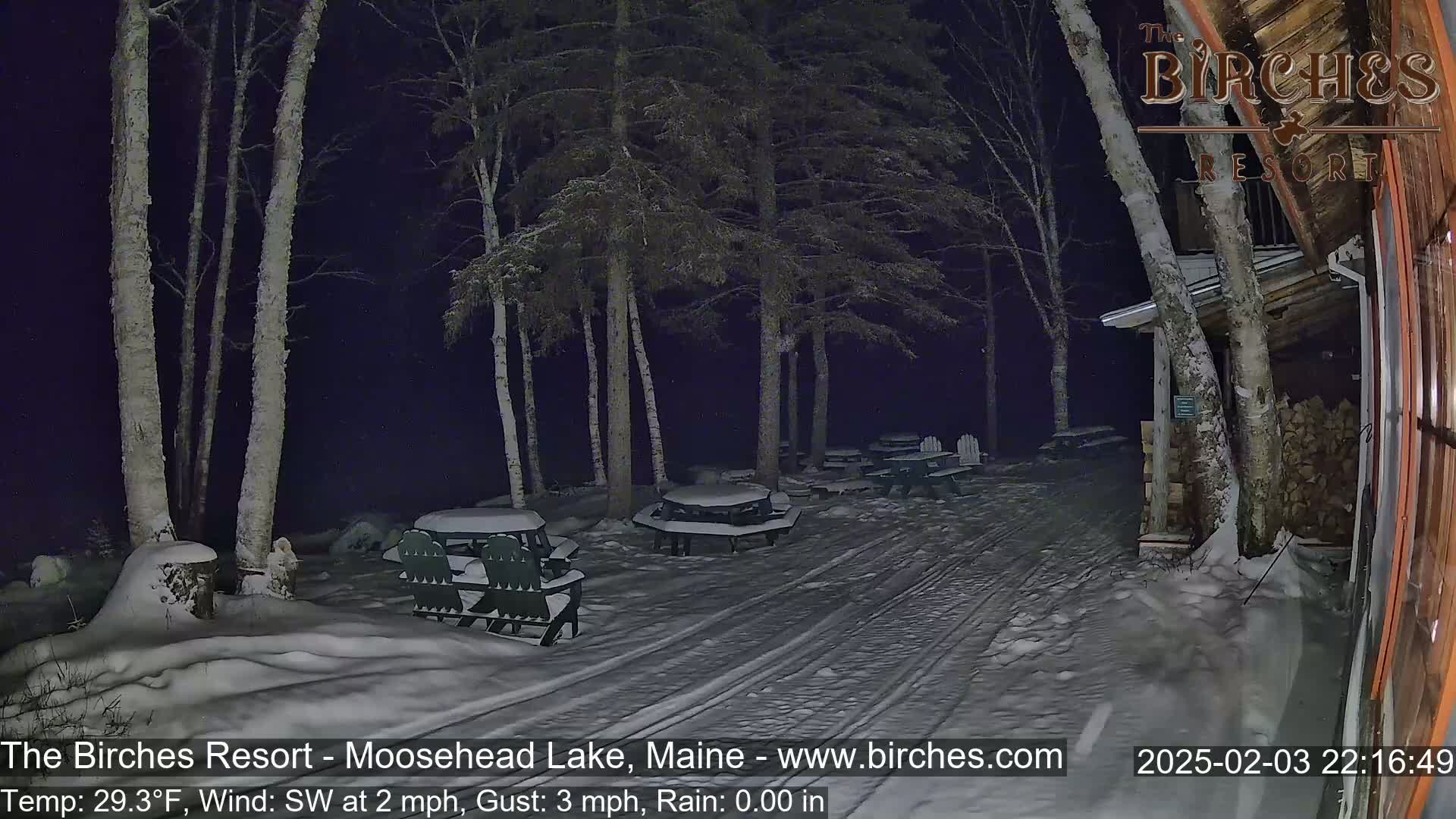 A snow-covered outdoor area at night with picnic tables and chairs under birch trees, lit by a building's exterior light.