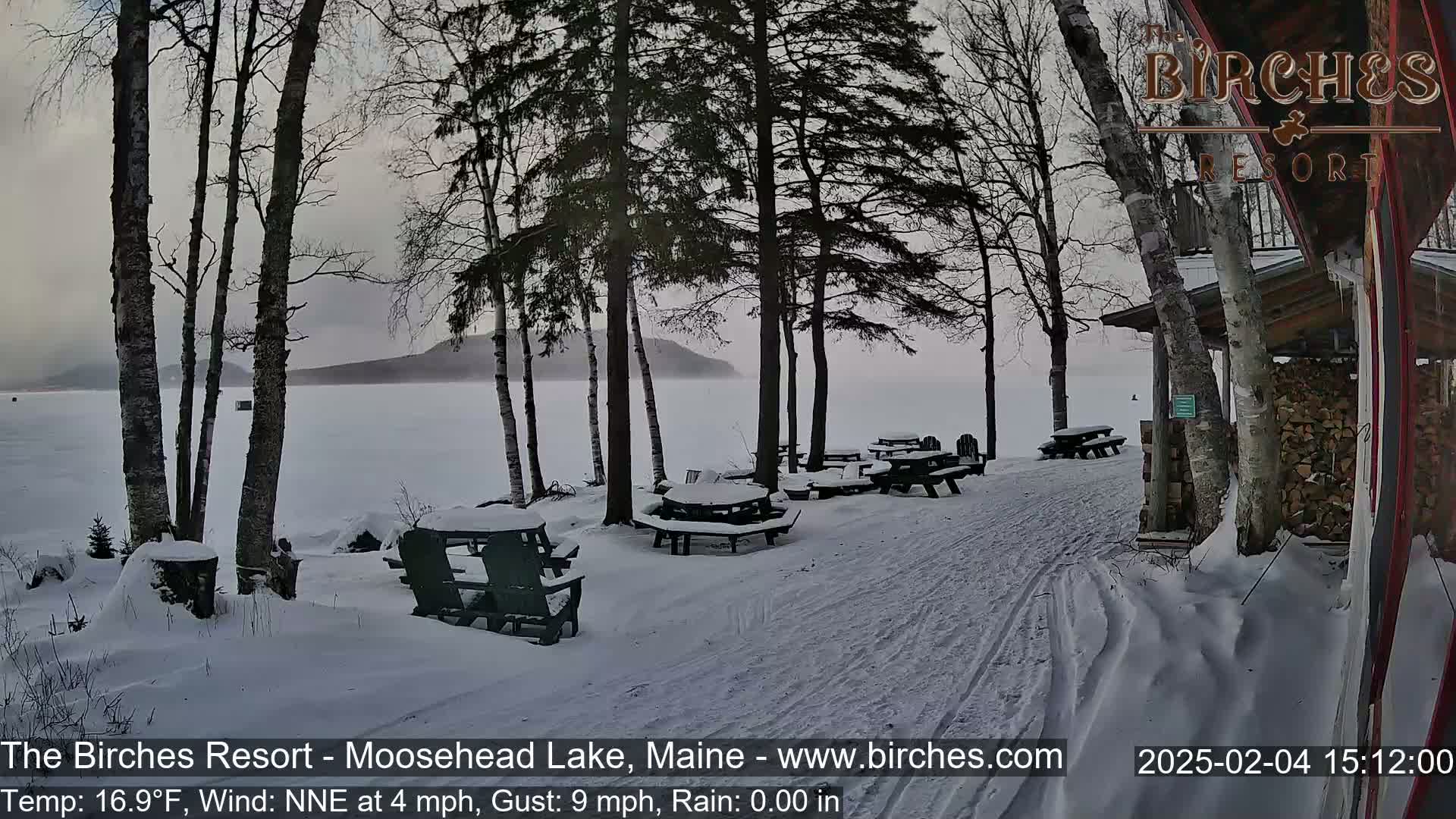 Snow-covered picnic tables and chairs sit near a snow-covered lakeshore under a gray, overcast sky.