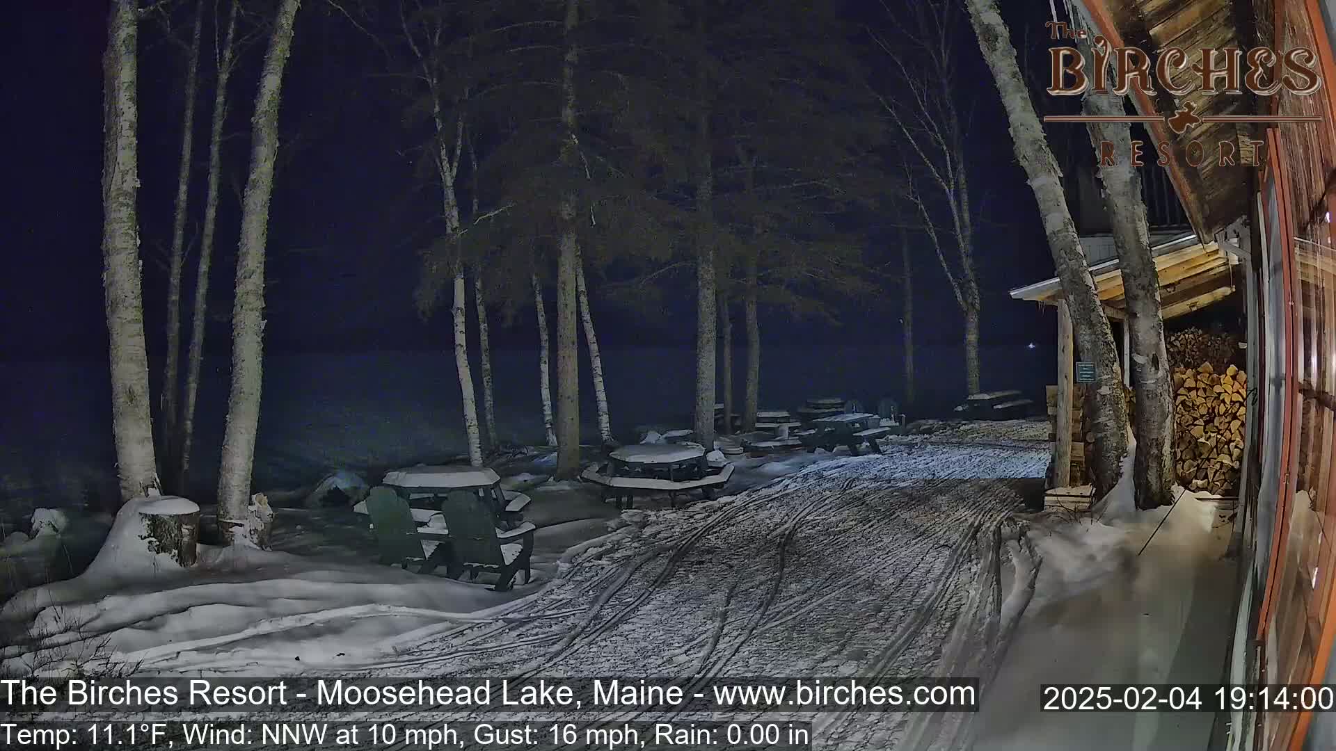 A snow-covered outdoor area at night with picnic tables and Adirondack chairs under birch trees, illuminated by artificial light.